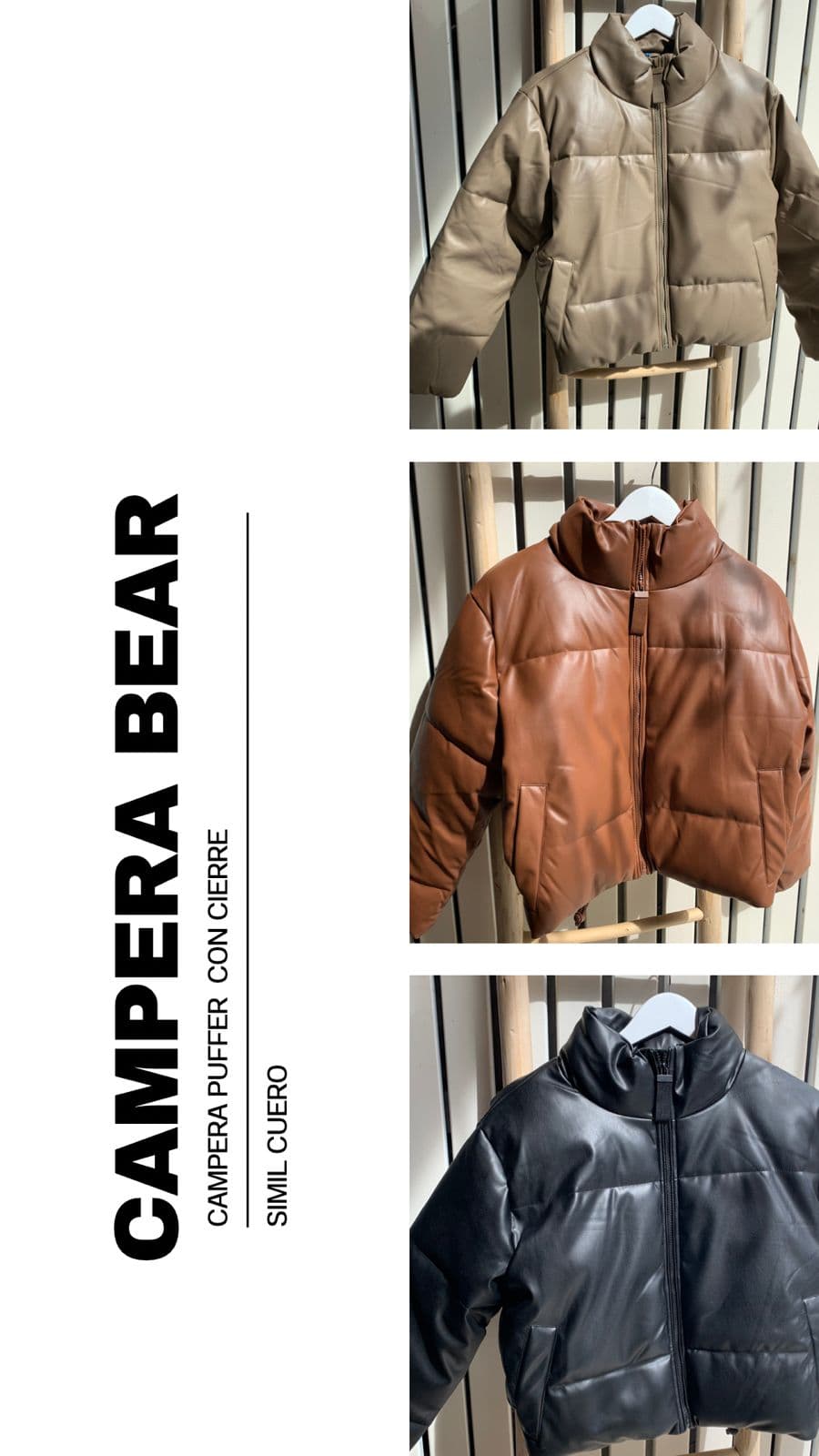 Campera Bear